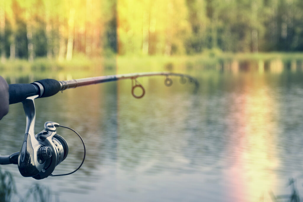 Fly Fishing Tools and Gadgets